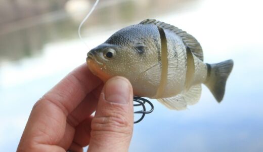 ダイワ 鱒ノ小魚オリーブ口コミ評判｜渓流で大物を狙える理由とは？