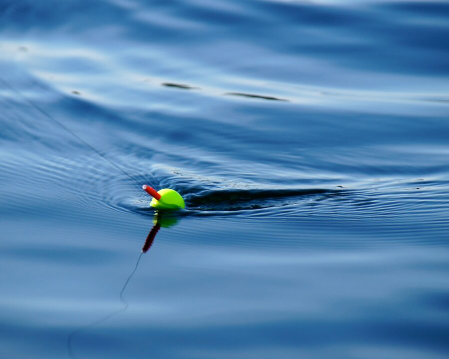 釣り